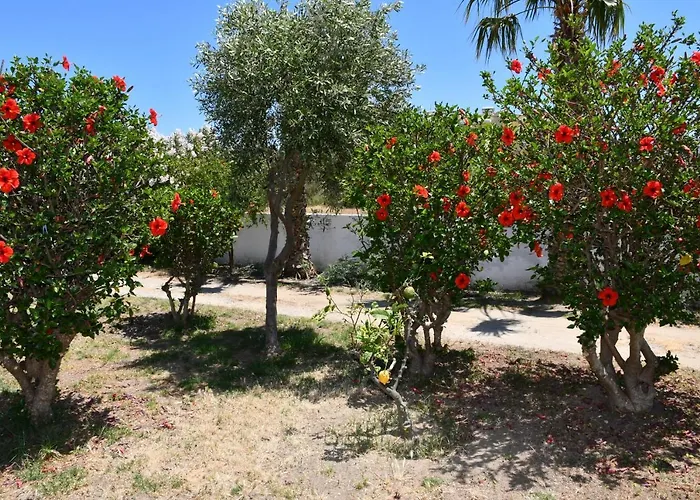 1-bedroom Olympia At Lambi Διαμέρισμα *