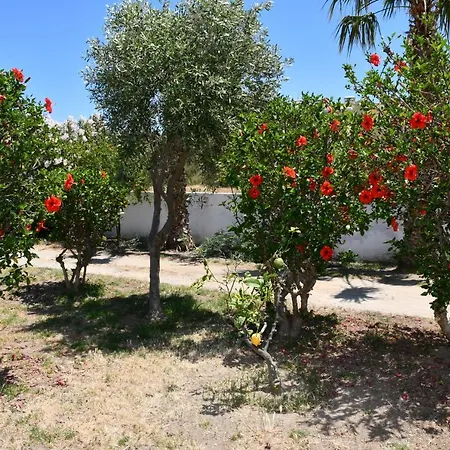 1-bedroom Olympia At Lambi Διαμέρισμα *