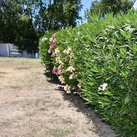 1-bedroom Olympia At Lambi Appartement *