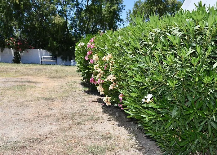 1-bedroom Olympia At Lambi Apartamento *