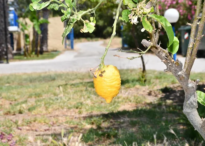 Appartamento 1-bedroom Olympia At Lambi